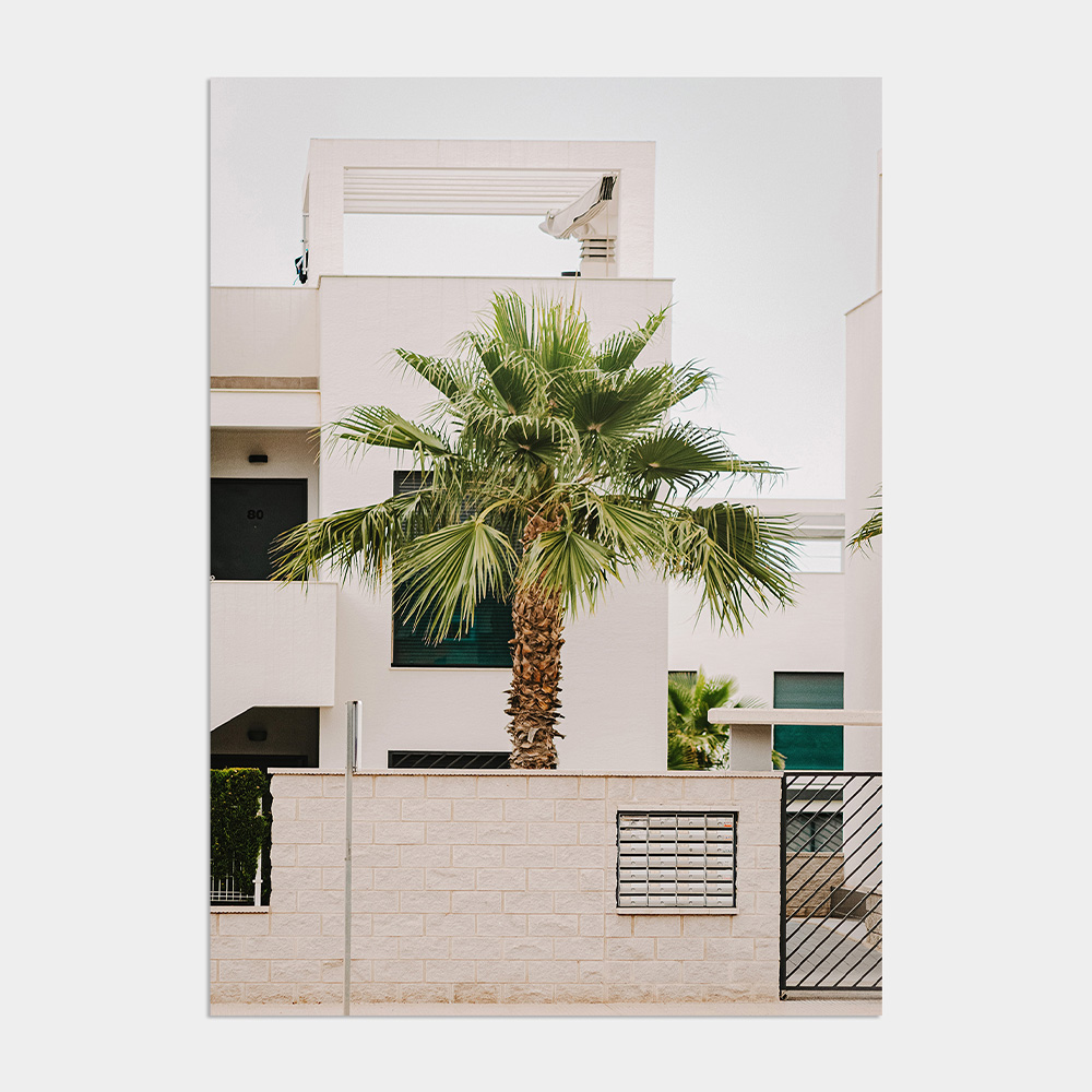 나의 유럽 모먼트 70 Palm trees, Spain