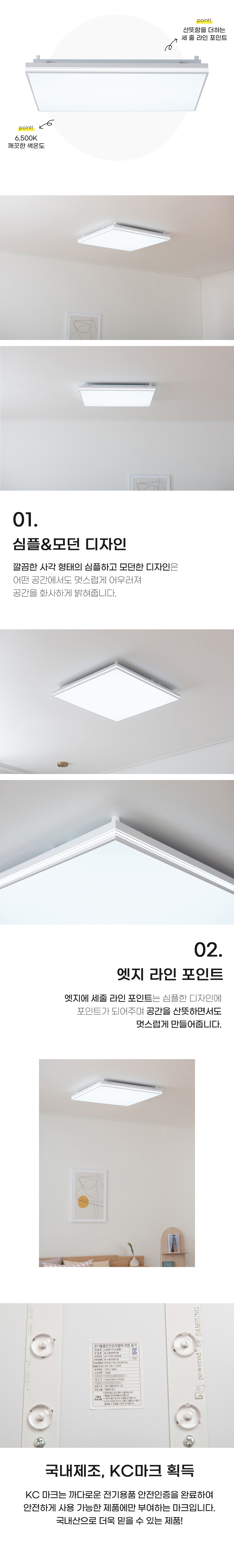 led_rubins_living_1_100w_02.jpg