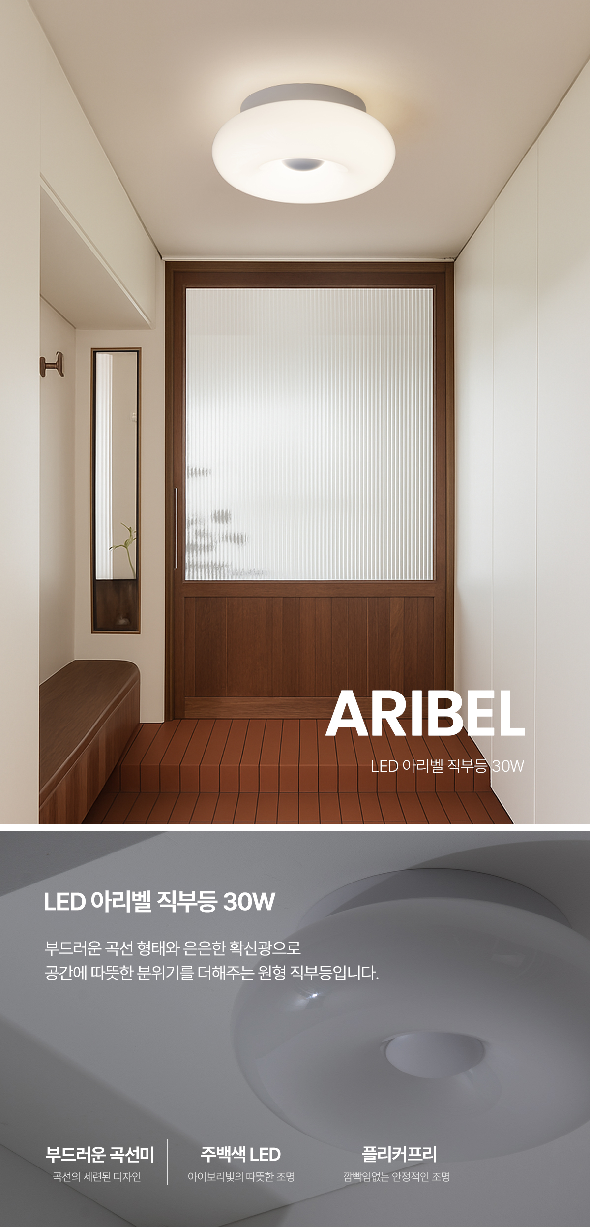 led_aribel_30w_01.jpg