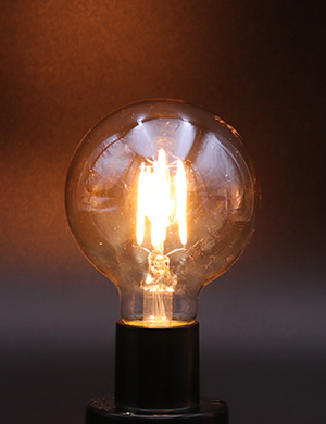 더쎈 LED 에디슨 볼 램프 4W G80