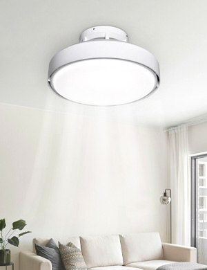 LED 비브르디 에그 날개없는 실링팬 방등 60W