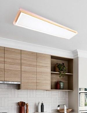 LED 알루스 주방 2등 50W