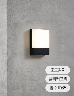 LED 바댄 벽등 12W (실외가능)