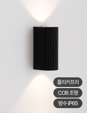 LED 빌로 2등 벽등 10W (실외가능)