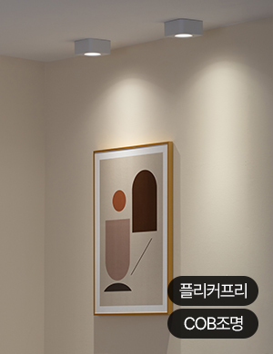 LED 다앤 직부등 10W