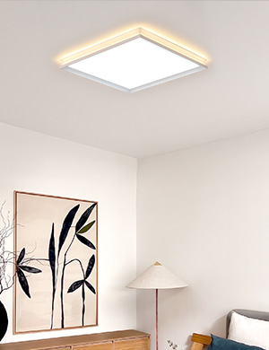 LED 루아스 프로 방등 50W/70W(1회로/2회로)