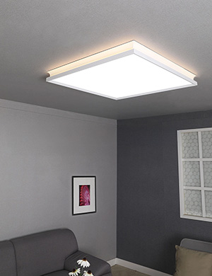 LED 루아스 디밍 방등 60W