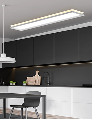 LED 루아스 프로 주방등 50W