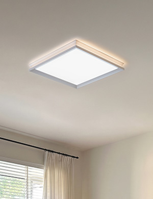 LED 루아스 프로 방등 50W