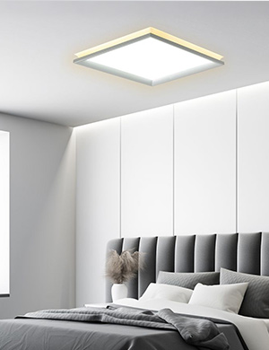 LED 루아스 프로 방등 50W