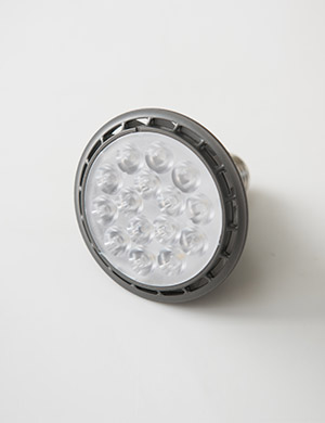 [공통] LED PAR30 집중형 15W 램프