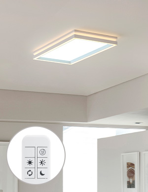 LED P타입 거실등 660*340 30W