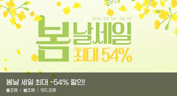 메인기획전